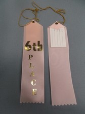 6th Place p ink award ribbon yellow string and card lot of 5