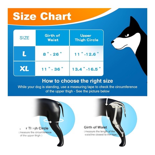 Chamin Dog Rear Left Leg Brace Size Extra Large - Picture 2 of 3