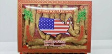 4oz Grade A 6 years Hand Selected American Ginseng X-Large Root /Gift BOX