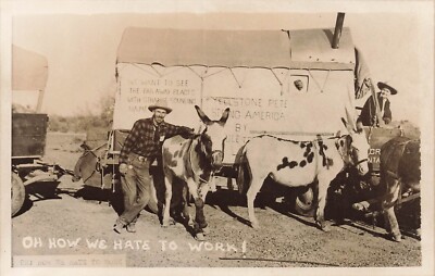 LP05 Yellowstone Pete Seeing America Mule Train 1944 RPPC Postcard
