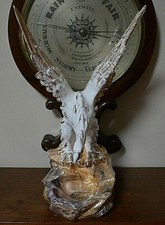 CERAMICA L'AQUILA DI BERTOLOTTI