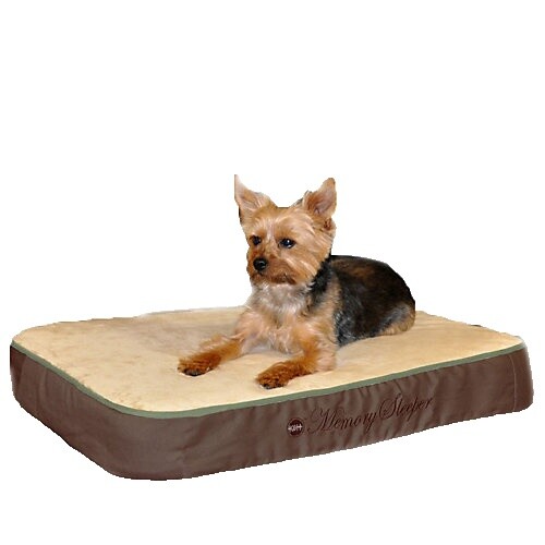 Orthopädisches Hundebett Von Sealy Lux – Mit Memory-Schaum & Kühlendem Gel, Waschbarer Bezug