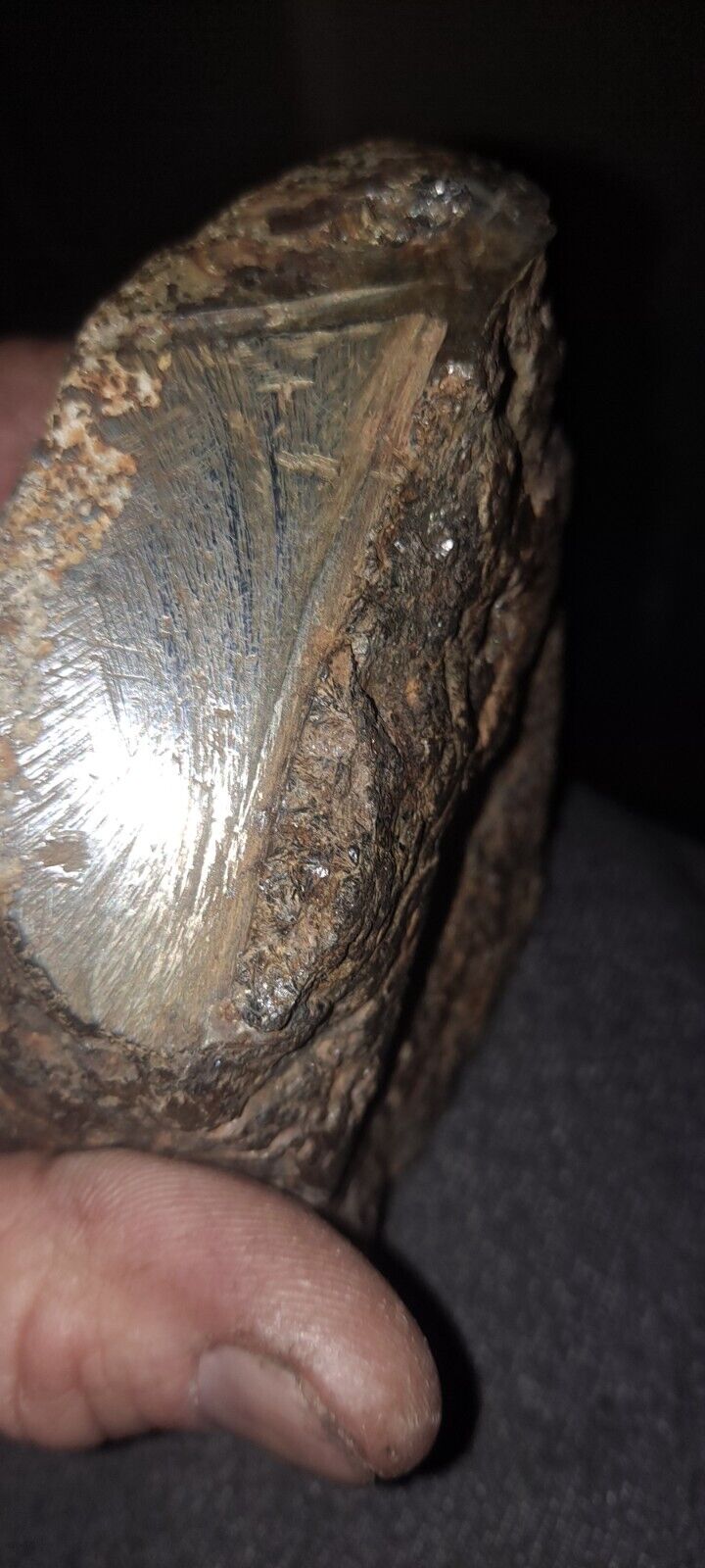 Picture 10 of 11