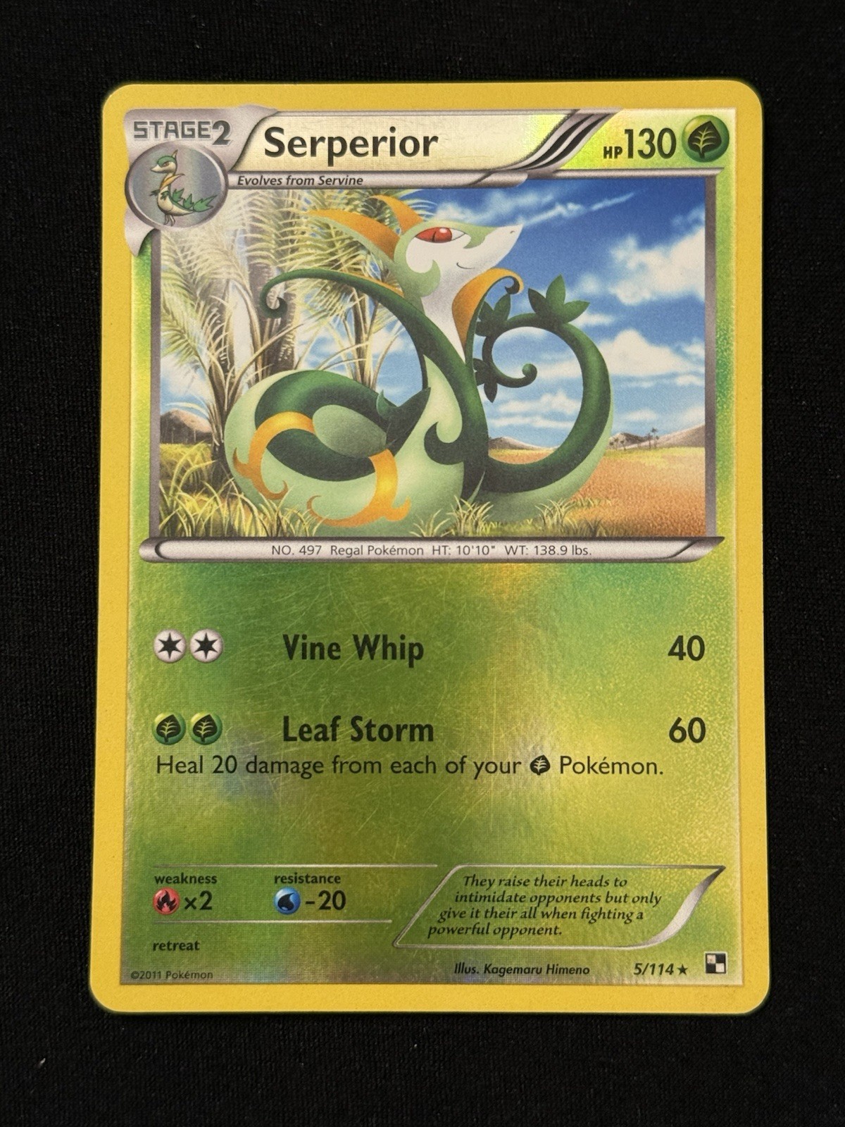 Serperior #5/114 - Pokémon TCG - Black & White - Reverse Holo - Rare - NM