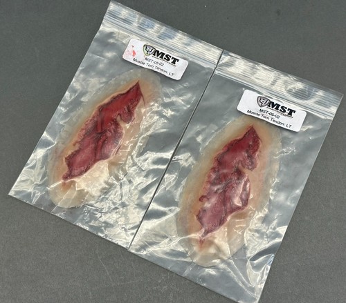 MST Moulage Sciences - Bleeding Wounds Skills Trainer kit - Picture 11 of 17