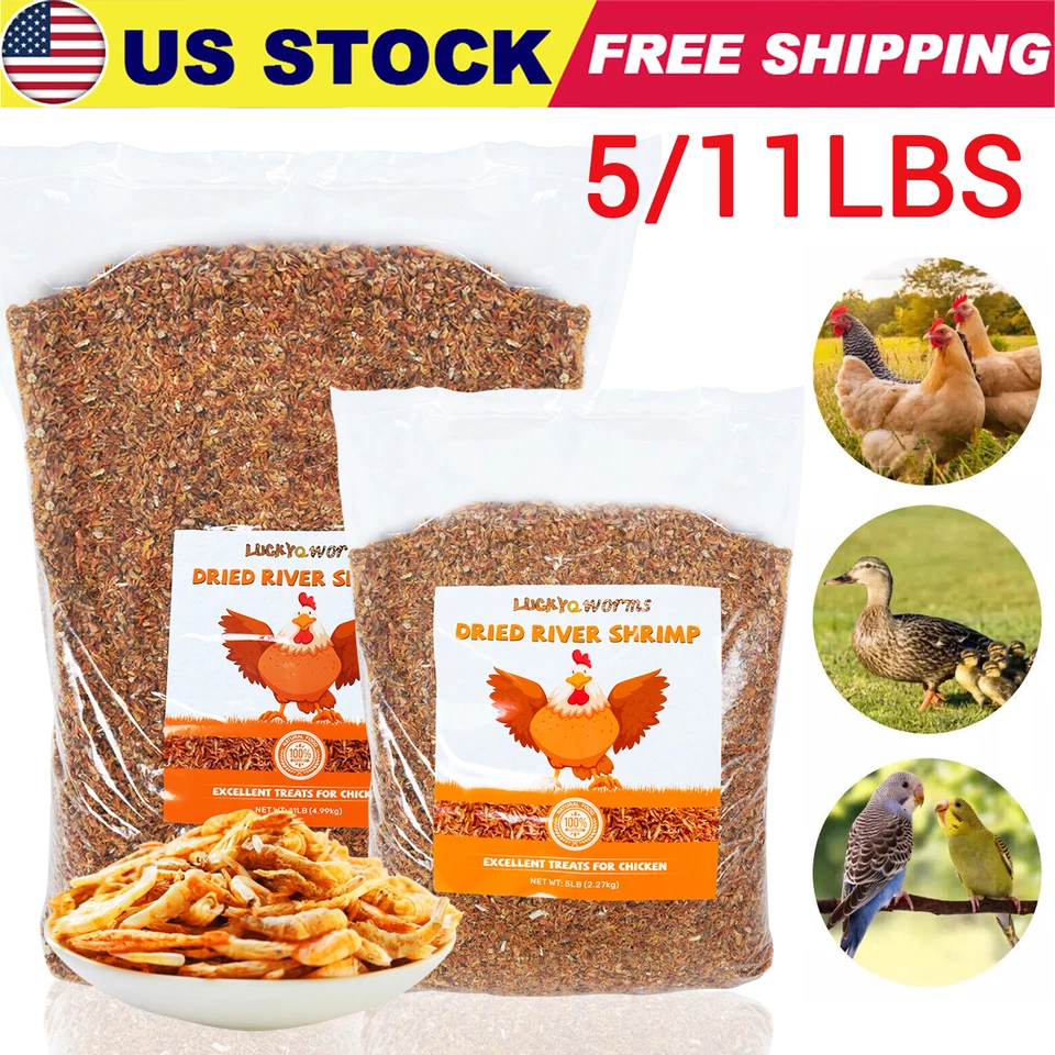 LUCKYQWORMS Lot Freeze Dried River Shrimp High Protein Natural Fish Turtle Birds Feed Food