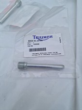 Genuine Triumph DAYTONA 750/1000, 1200, 900, SUPER 111 MULTIFIT PAD PIN T2020260