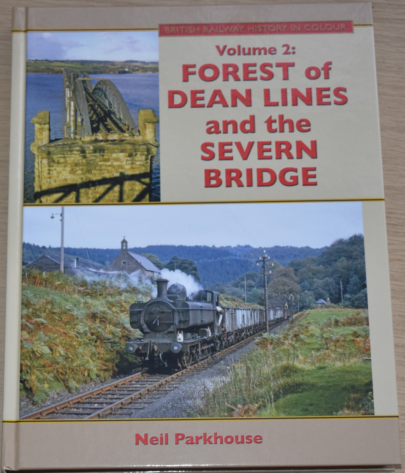 FOREST OF DEAN RAILWAY LINES Severn Bridge Steam History NEW Colour Photographs