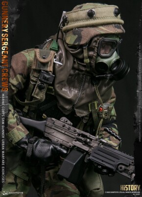 DAMTOYS DAM 78082 United States Marine Corps 1/6 Action Figure In
