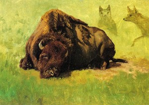 Bison-With-Coyotes-In-The-Background-by-Albert-Bierstadt-Painting-Reproduction