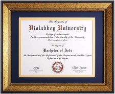 8.5x11 Diploma Frame Gold, 8.5 x 11 Certificate Frame with Mat or 11x14 Colle...