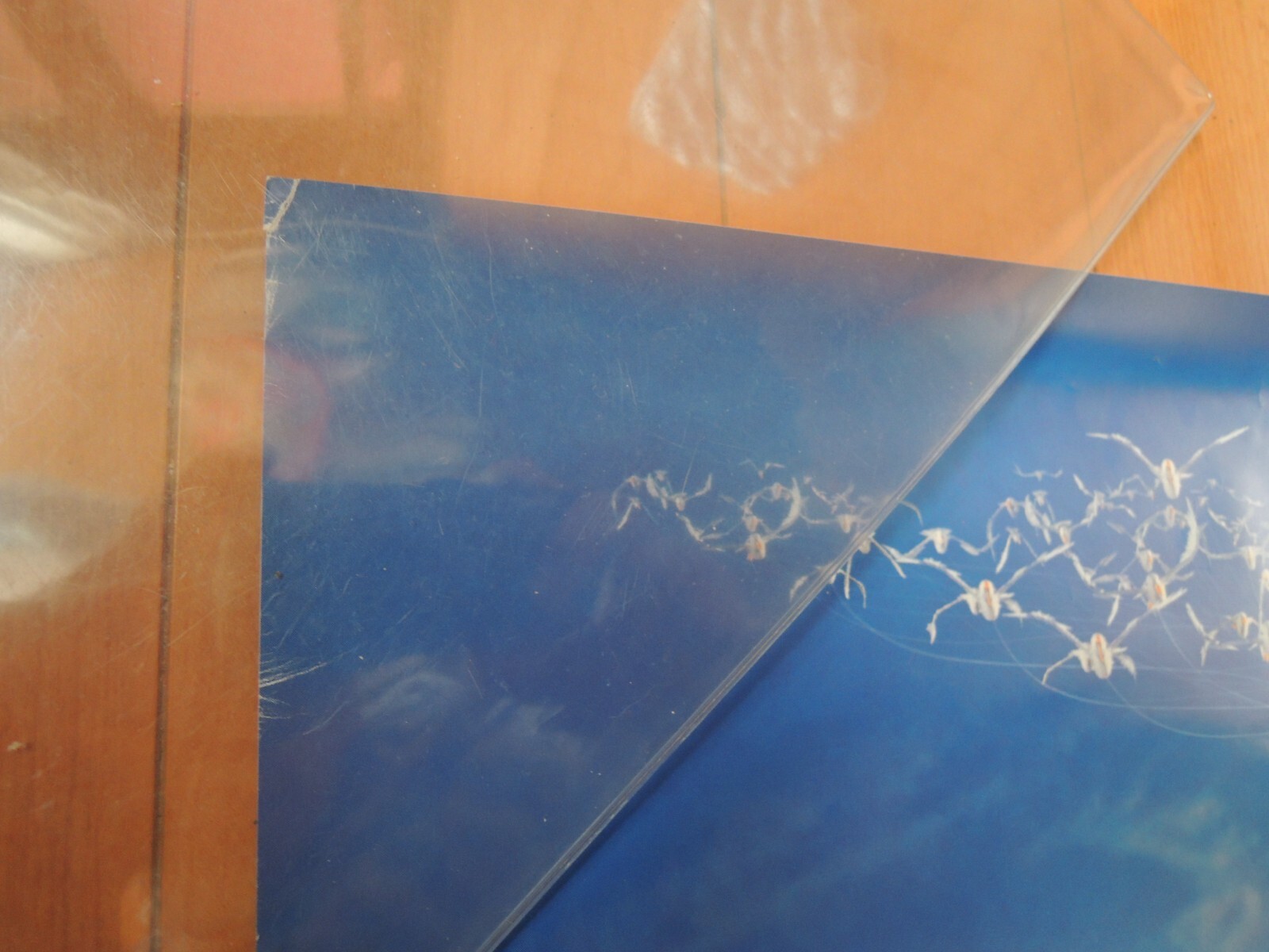 Bild 7 von 8