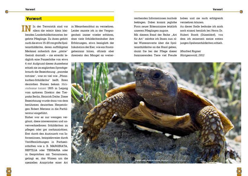 Thumbnail - Die Spaltenschildkröte Manfred Rogner