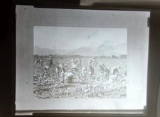 B&W Negative View of Old South Africa    scroll down for further photos