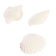 Stampo in silicone per pasta di zucchero/gomma TEMA MARE CONCHIGLIE 3 PEZZI