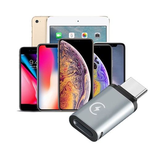 Câble Adaptateur Femelle vers Type C Mâle USB-C pour iPhone Connecteur Convertisseur 5V 2.1A - Photo 11 sur 12
