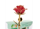 Two Hedgehogs Real Rose 24K Gold Dipped Anniversary Valentine Gift Crystal Heart