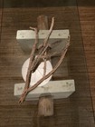 Lot of 3 Branched Cholla Wood Cactus Skeletons from Joshua Tree 16-25" — photo 2