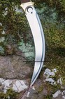 Bild 3 von 12