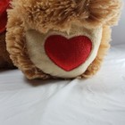 Picture 4 of 9