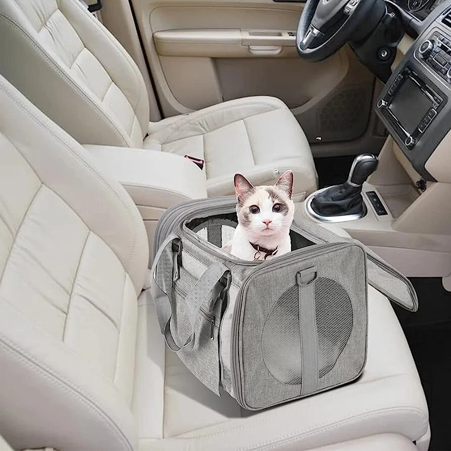 Airline dog carrier sale