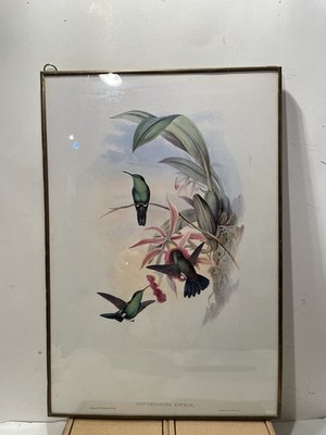 Antique J Gould & H. C. Richter Lithograph Gold Framed 2 Sided 14 X 9.5  Z8