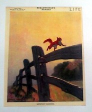 REPRINT OF A LIFE MAGAZINE 1911 COVER RED SQUIRREL RUNNING ON TOP OF A FENCE
