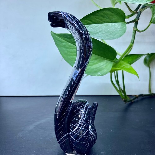 Piedra preciosa natural serpiente tallada a mano ágata negra natural 254G - Imagen 13 de 15