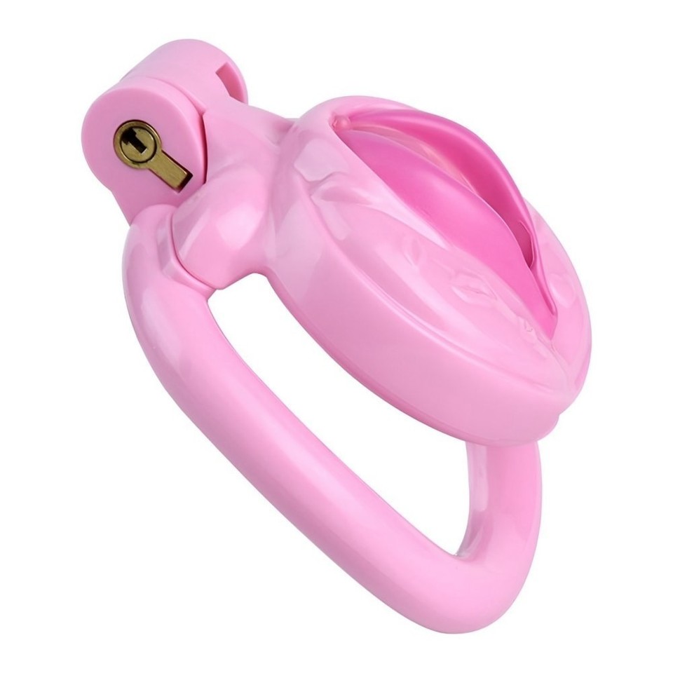 FRRK 2025 NEW Design Male Chastity Device Inverted Lock Cage 4 Rings ...