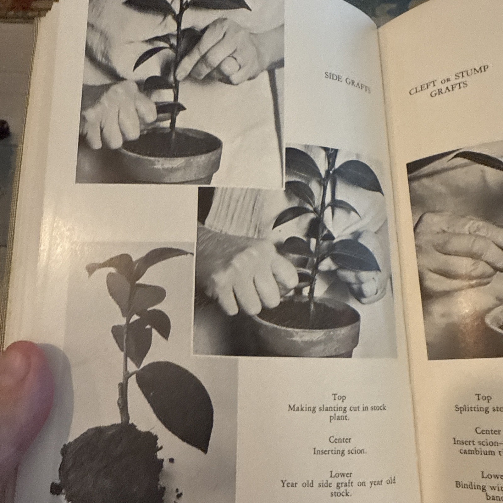 Picture 20 of 23
