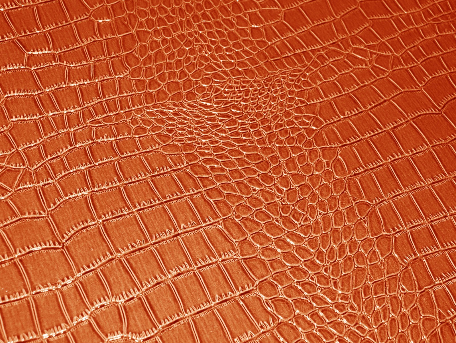Picture 4 of 6