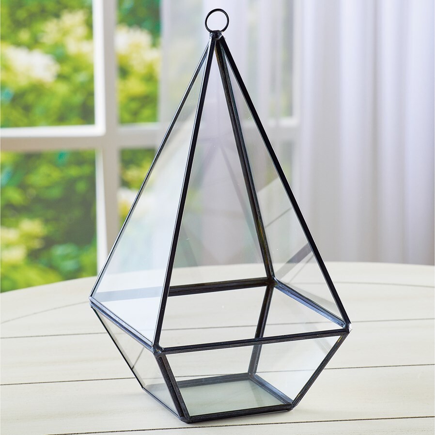 Geometric Glass Terrarium for Succulents Moss Wall or Tabletop Planter
