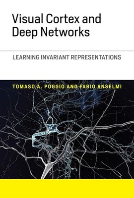 Visual Cortex and Deep Networks: Learning Invariant Representations (Hardcover)