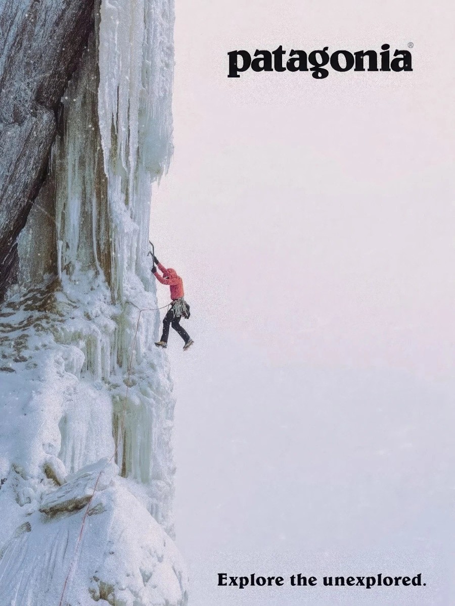 Patagonia Advertisement Vintage Poster | eBay