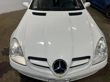 (LOCAL PICKUP ONLY) 05 06 07 08 09 10 11 MERCEDES SLK Hood