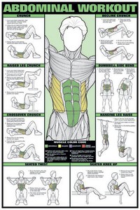 Fitnus Chart