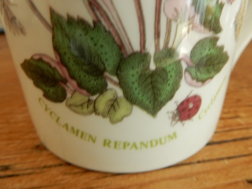 1 x Portmeirion Mug Rare 1982 Straight Botanic Garden 4 2/8" 340ml MADE UK VGC - Picture 3 of 9