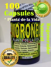 Moronel Planta de La Vida 100 Capsulas 100% Natultural