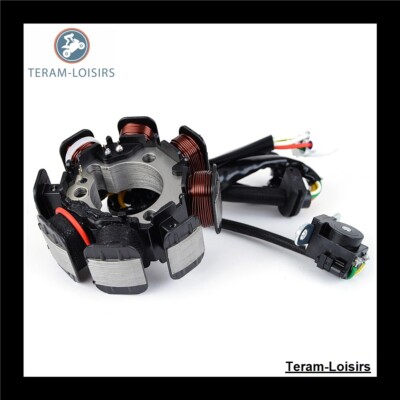 Stator für Kawasaki KLX 300 R ab 1996 1997 1998 1999 2000 2001 2002 bis 2007