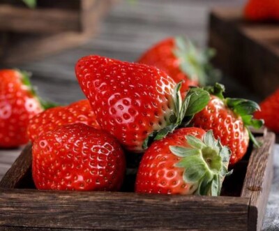 Are Container Strawberries Perennial?