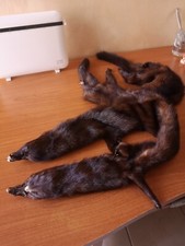 Pelliccia Collo Volpe