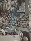 PALMETTO FARMERS MARKET VENDOR Miami Fl. Tierney & Killingworth 8 x 10 — photo 2