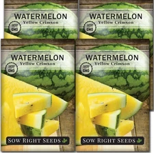 Sow Right Seeds - Yellow Crimson Sweet Watermelon Seed for Planting - Non-GMO