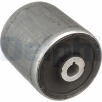 Delphi Querlenkerlager TD1638W FüR F33 F31 BMW F20 F32 F23 F34 F80 F21 F30 F22