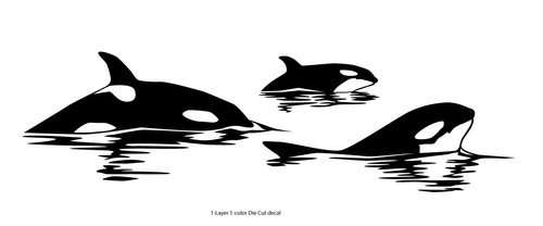 Sea Fauna - Orca Pack #7 - Outdoor Window Die Cut Decal Vinyl Sticker 6Yrs Film - Picture 3 of 20
