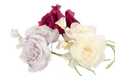 Large 17cm Twin Silk Roses Flower for Hat Making DIY Craft Millinery Many Colors