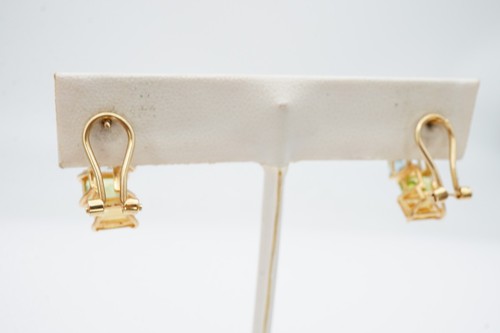 14k Yellow Gold Multi Gemstone Omega Back Earrings - Picture 5 of 10