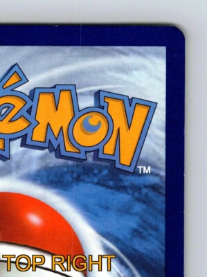 Nincada HP 40 Absorb Attack Rarity Green Pokémon Card | eBay