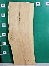 Beautiful White Ash Slab Live Edge 38" L x 15 to 13.5" W x 1.875" T #2136