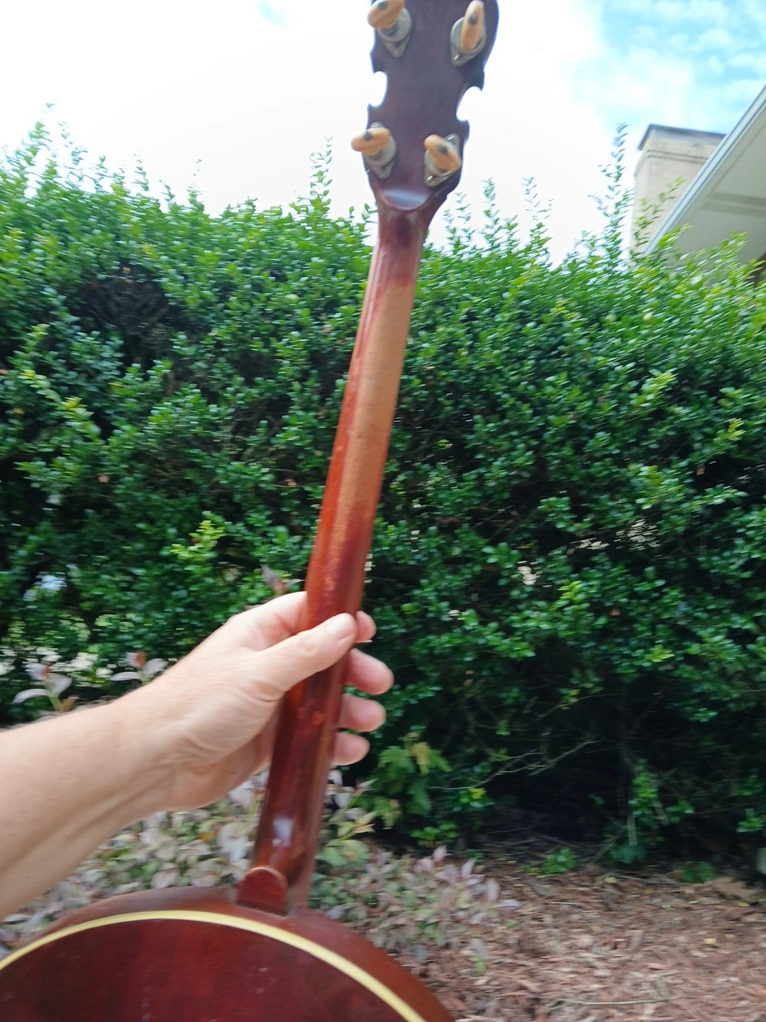 Picture 5 of 24